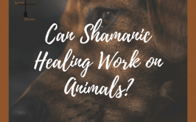 Does Shamanic Healing Work for Pets?
